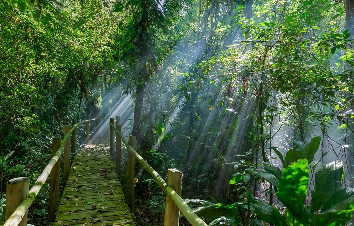 Eventos | Trilha dos Guaiamuns no Itamambuca Eco Resort